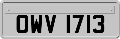 OWV1713