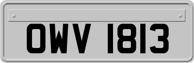 OWV1813