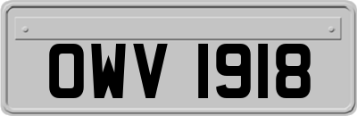 OWV1918