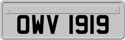 OWV1919