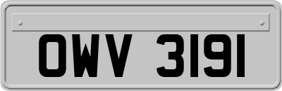 OWV3191