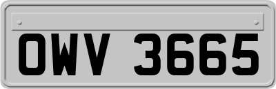 OWV3665