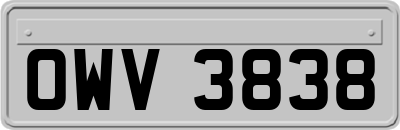 OWV3838