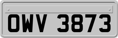 OWV3873