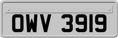 OWV3919