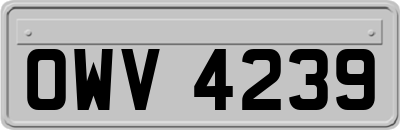 OWV4239