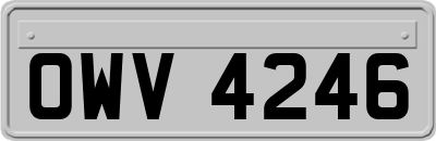 OWV4246