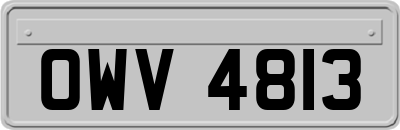 OWV4813