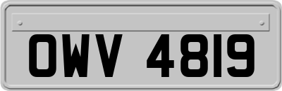OWV4819