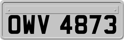 OWV4873