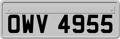 OWV4955