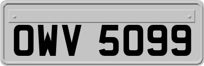 OWV5099