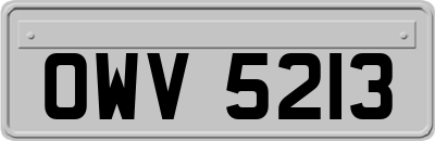 OWV5213