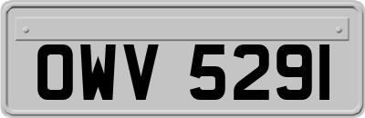 OWV5291