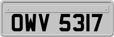 OWV5317