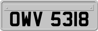 OWV5318