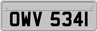 OWV5341