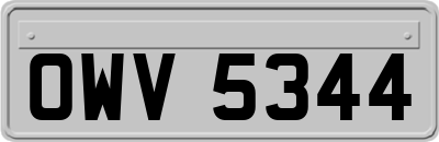 OWV5344