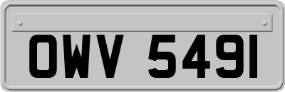 OWV5491