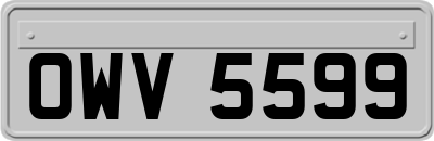 OWV5599