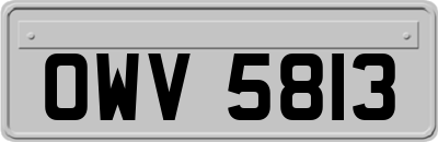 OWV5813