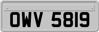 OWV5819