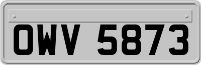 OWV5873