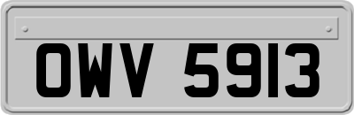 OWV5913