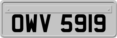 OWV5919