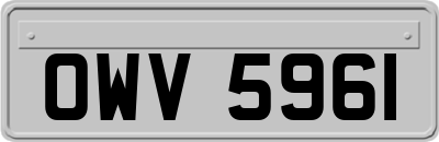 OWV5961