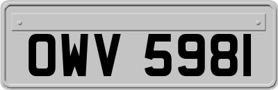 OWV5981