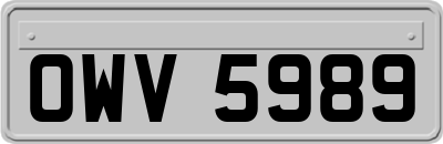 OWV5989