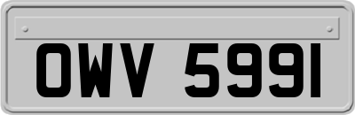 OWV5991