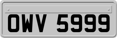 OWV5999