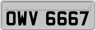 OWV6667