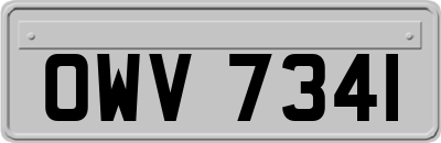 OWV7341
