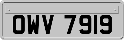 OWV7919