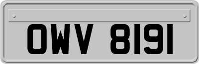 OWV8191