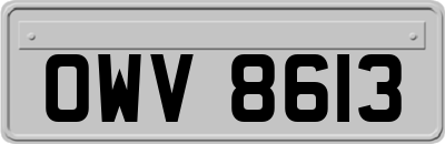 OWV8613