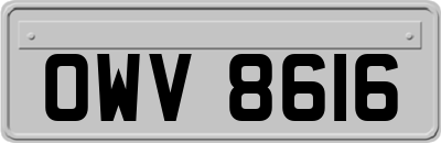 OWV8616