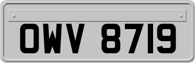 OWV8719