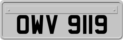 OWV9119