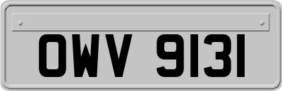 OWV9131