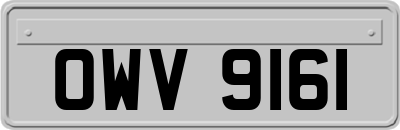 OWV9161