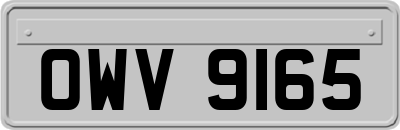 OWV9165