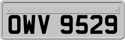OWV9529