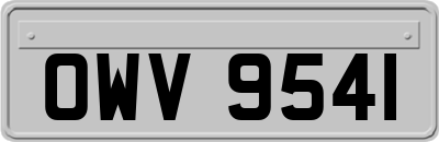 OWV9541