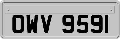 OWV9591