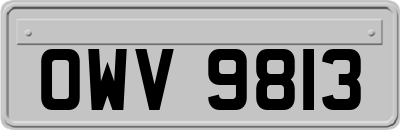 OWV9813