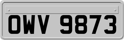OWV9873